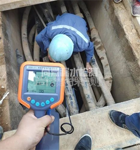 总口管理区管线探测