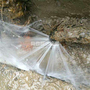 总口管理区消防管道漏水检测
